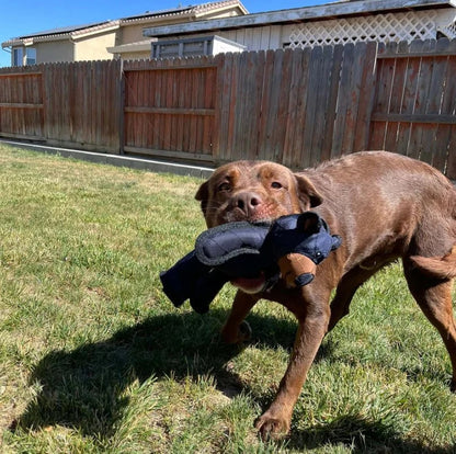 Juguete Indestructible para Perros